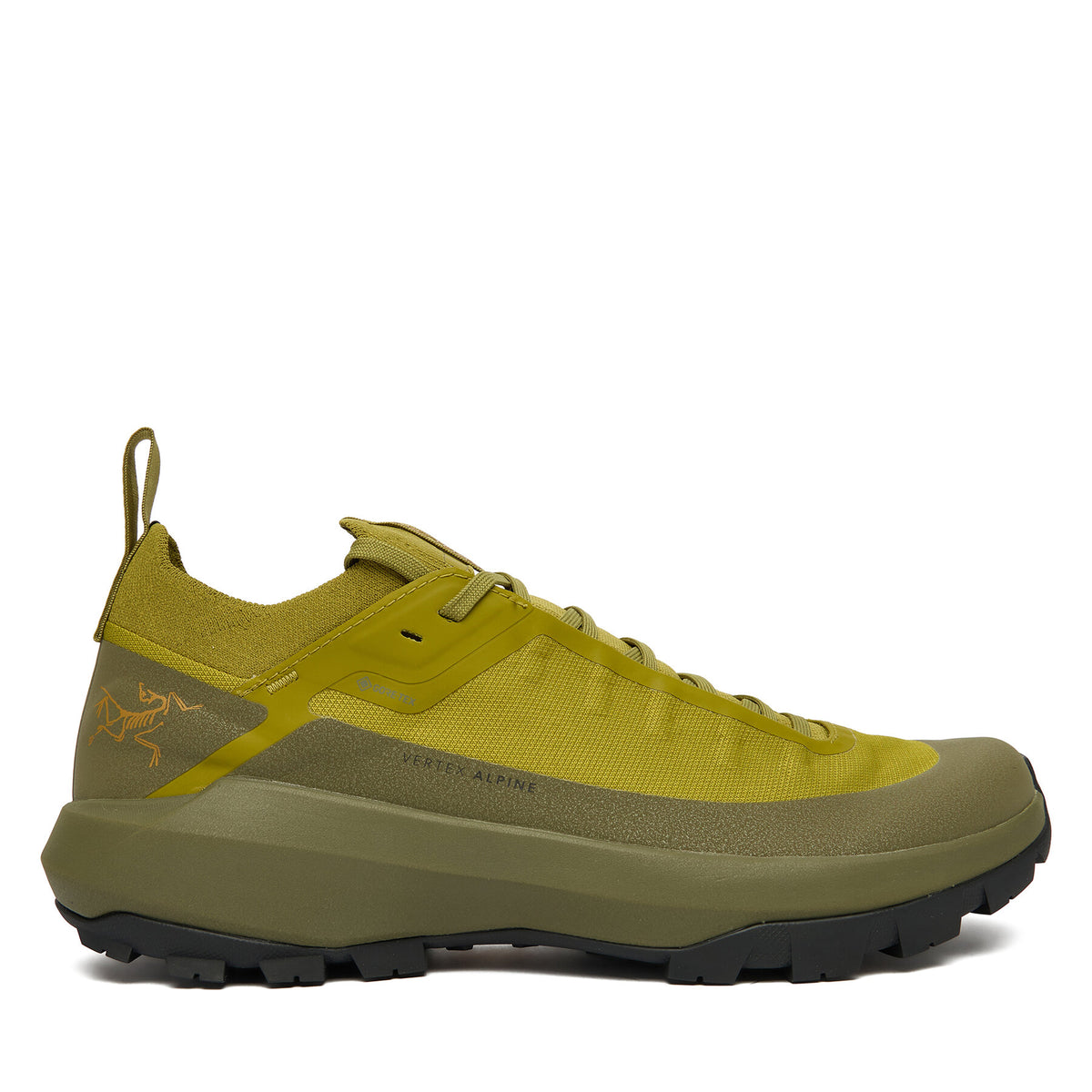 Arc'teryx Туристически Verte Alpine Gtx Gore-Tex X000009602 Зелен