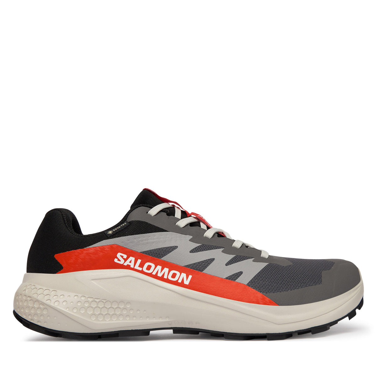 Salomon Маратонки за бягане Alphaglide Gore-Tex L47975300 Сив