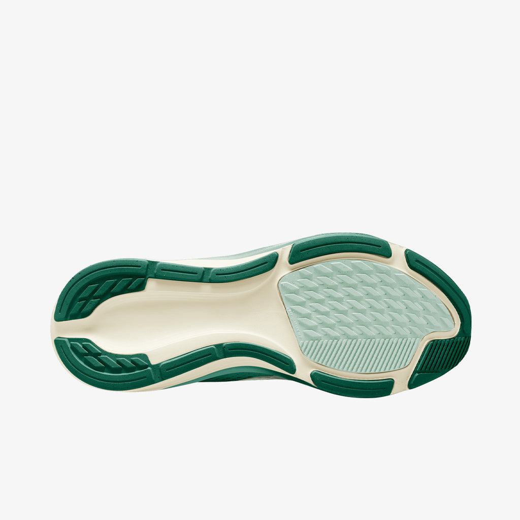 Nike Pegasus 42