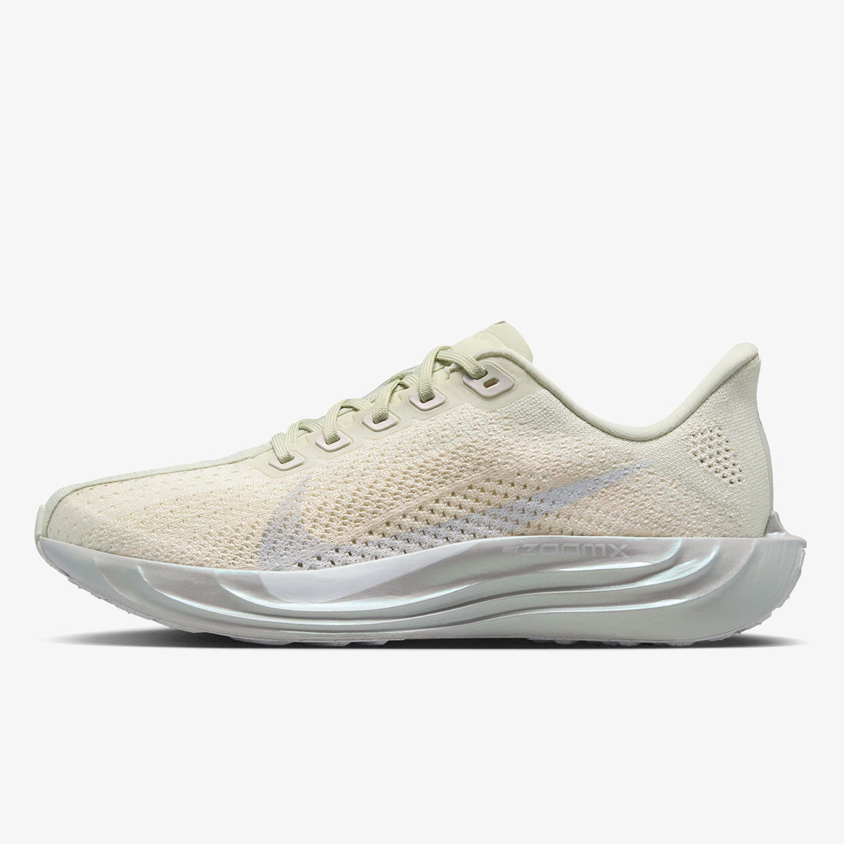 Nike Pegasus Plus