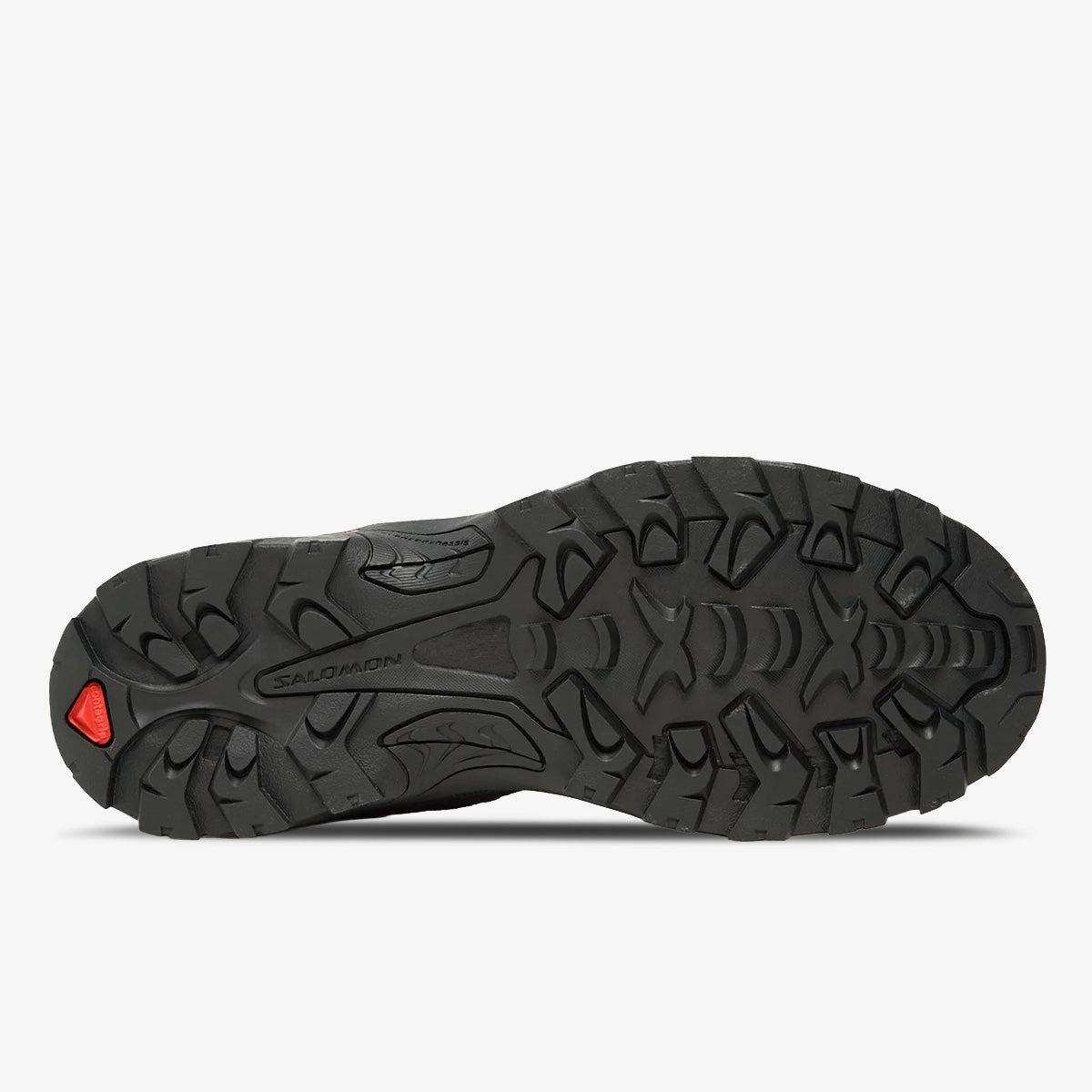 Salomon Quest Rove GTX