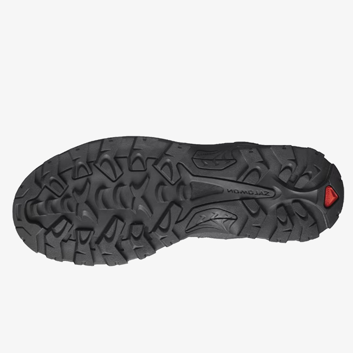 Salomon Quest Rove GTX