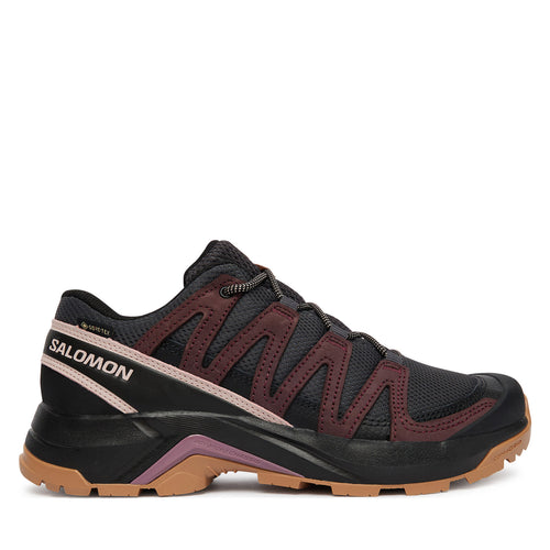 Salomon Туристически X-Adventure Recon Gtx L49096600 Кафяв