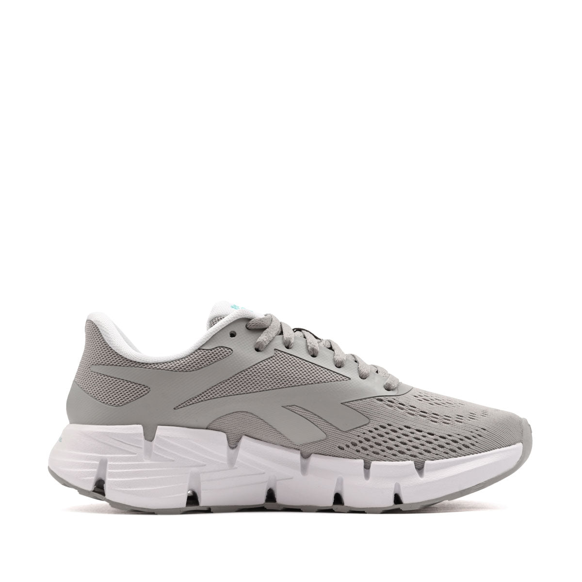 Reebok Zig Dynamica 6 100263922 Дамски маратонки