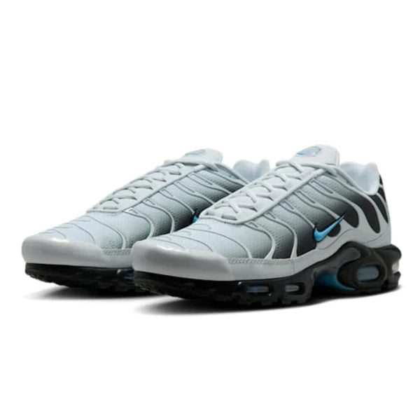 Nike Air Max Plus Gray